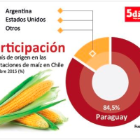 Paraguay mantiene el liderazgo de las importaciones de maíz en Chile